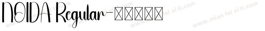NOIDA Regular字体转换